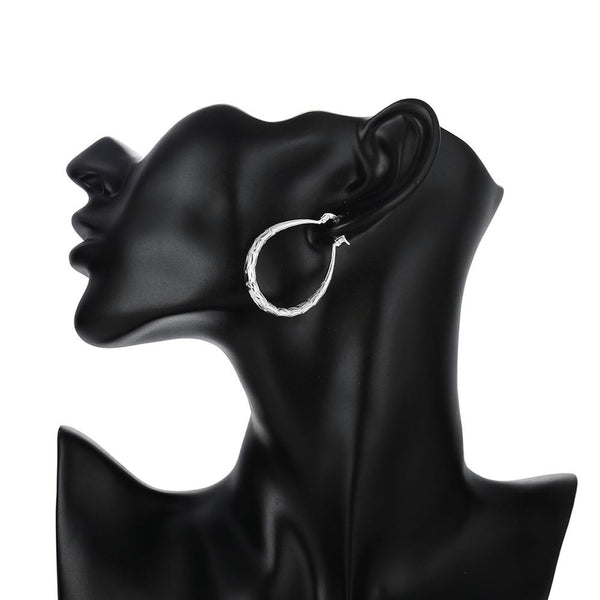 Silver Earrings LSE295