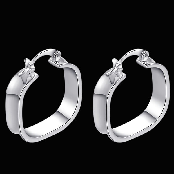 Silver Earrings LSE297