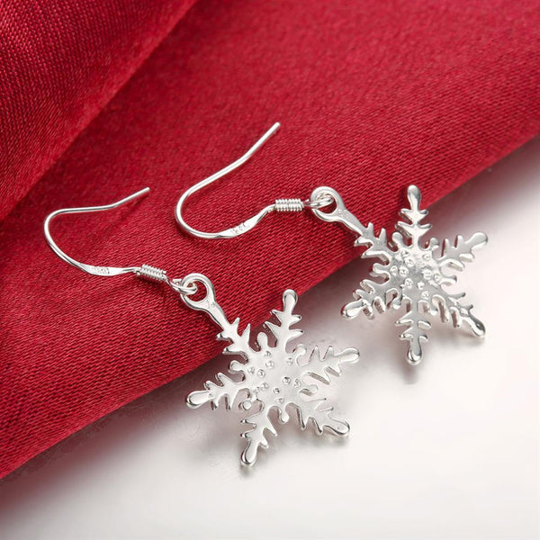 Silver Earrings LSE302