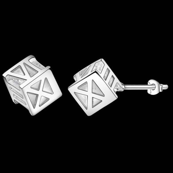 Silver Earrings LSE333