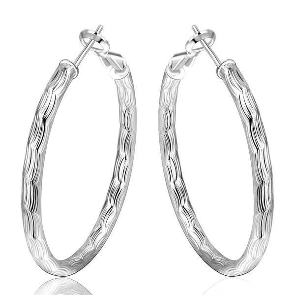 Silver Earrings LSE341