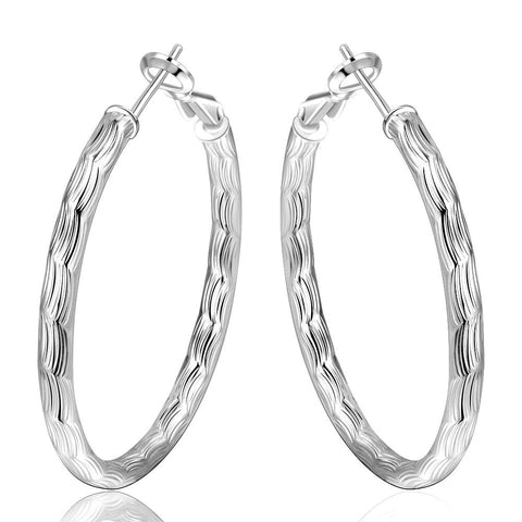 Silver Earrings LSE341