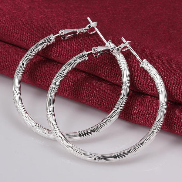 Silver Earrings LSE341