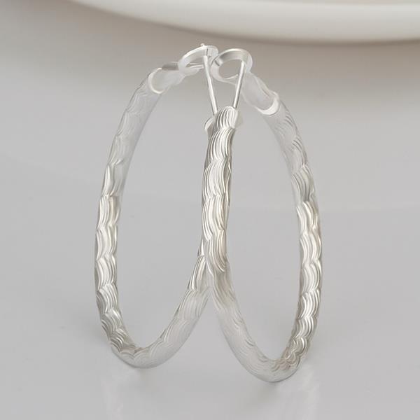 Silver Earrings LSE341