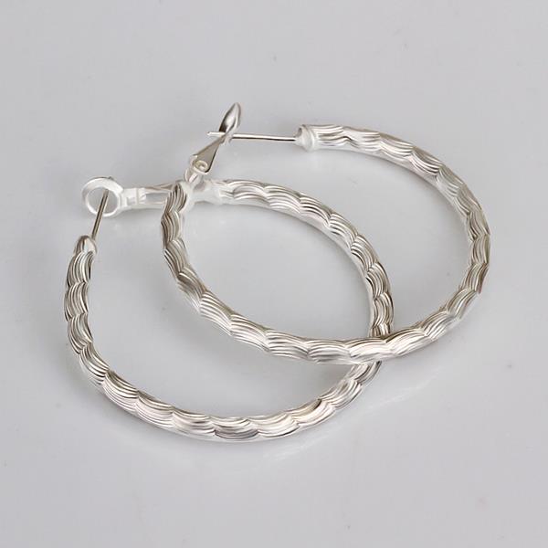 Silver Earrings LSE341