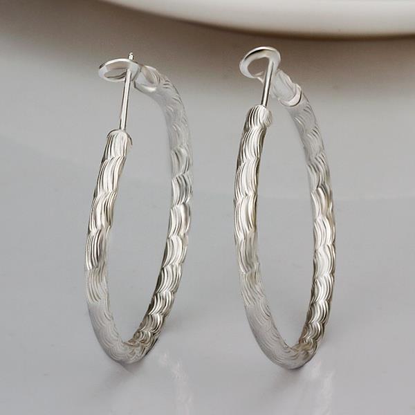 Silver Earrings LSE343