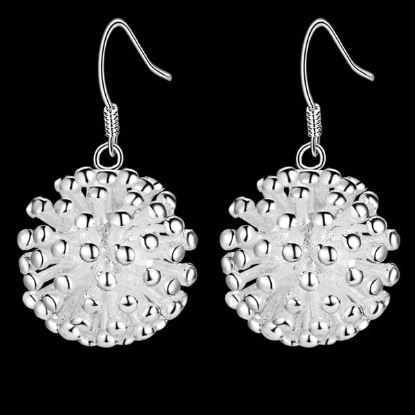 Silver Earrings LSE356