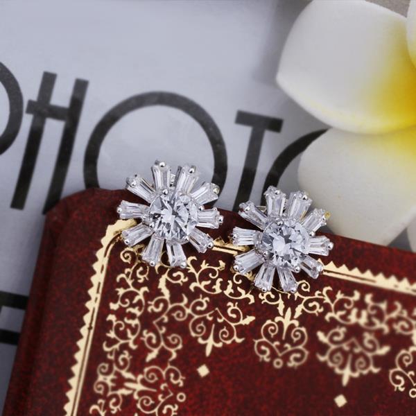 Silver Earrings LSE357