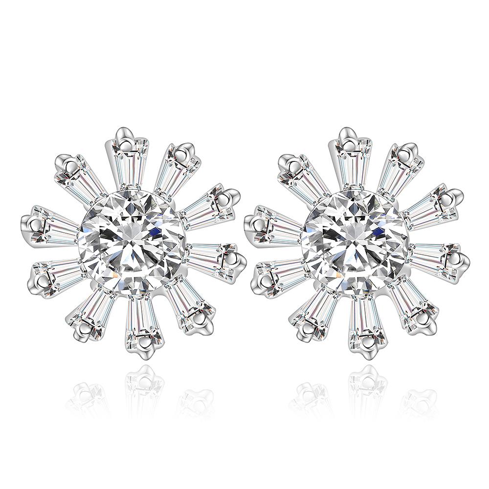 Silver Earrings LSE357