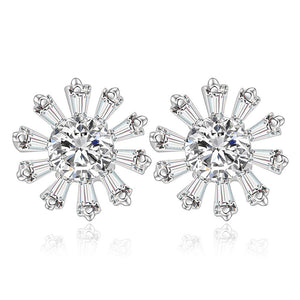 Silver Earrings LSE357
