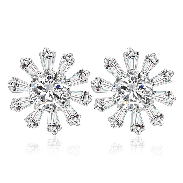 Silver Earrings LSE357