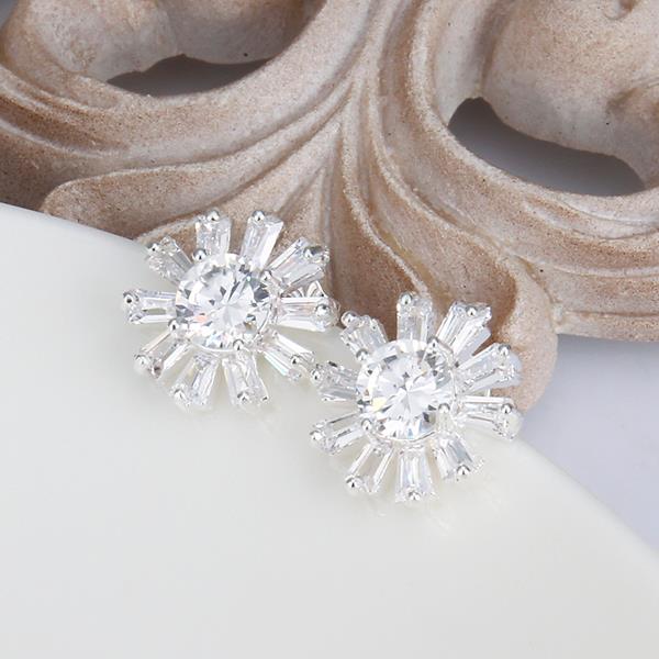 Silver Earrings LSE357