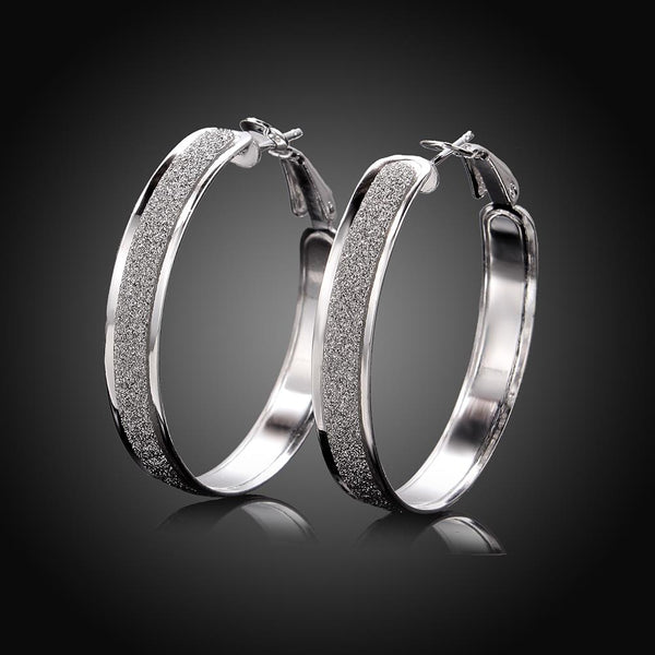 Silver Earrings LSE465