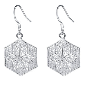 Silver Earrings LSE481