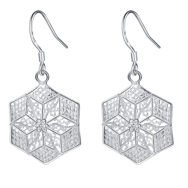 Silver Earrings LSE481
