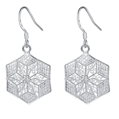 Silver Earrings LSE481