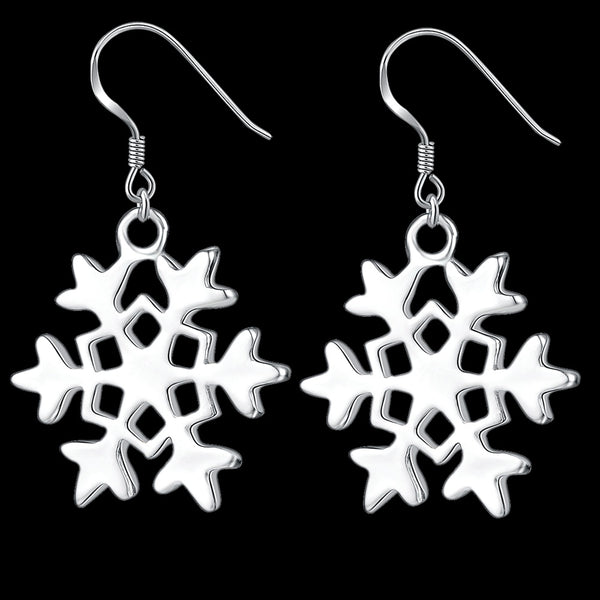 Silver Earrings LSE504