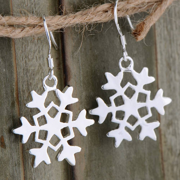 Silver Earrings LSE504