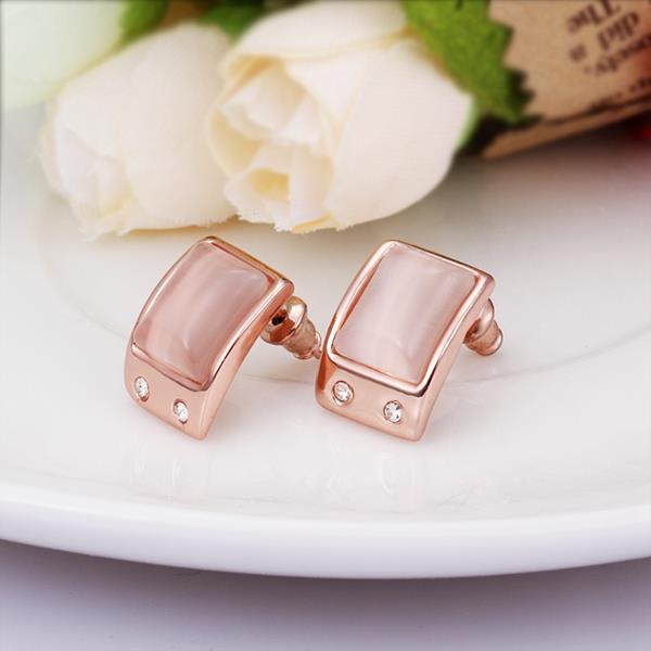 Rose Gold Earrings LSE505