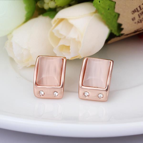 Rose Gold Earrings LSE505