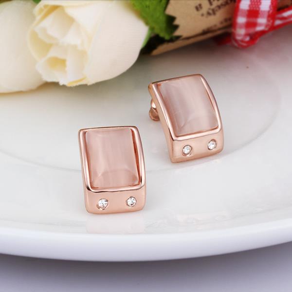 Rose Gold Earrings LSE505