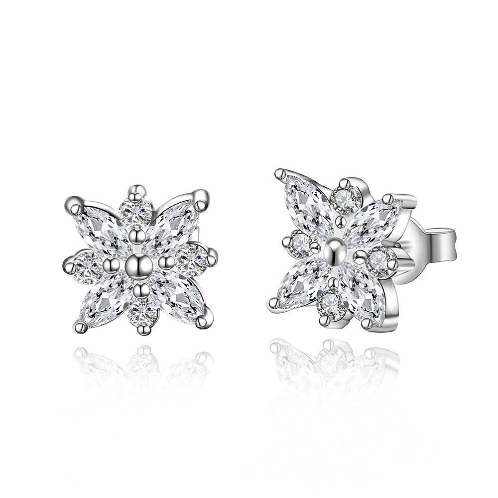 Silver Earrings LSE546
