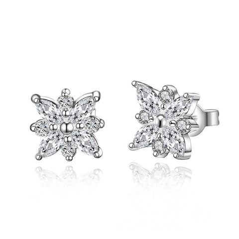 Silver Earrings LSE546