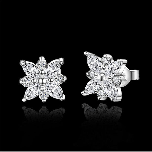 Silver Earrings LSE546