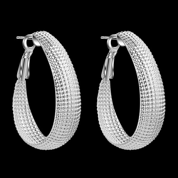 Silver Earrings LSE563