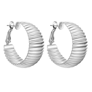 Silver Earrings LSE565