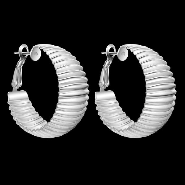 Silver Earrings LSE565