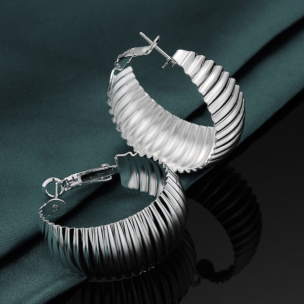 Silver Earrings LSE565