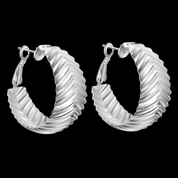 Silver Earrings LSE566