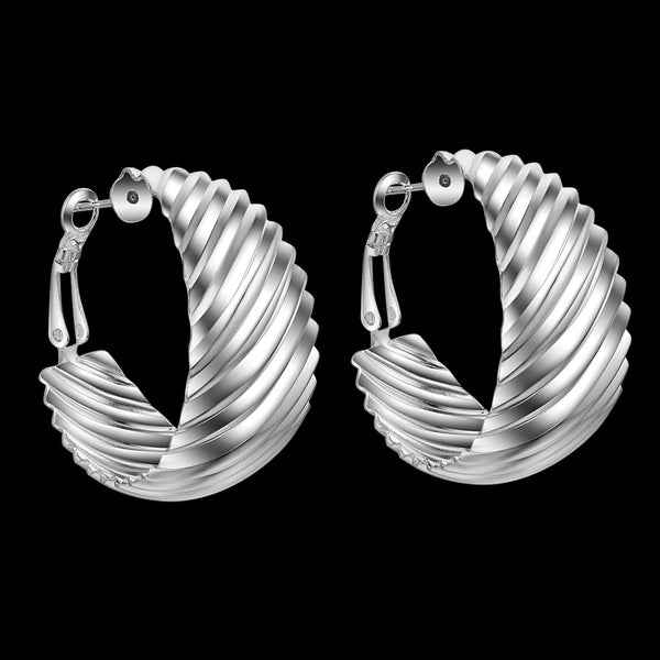 Silver Earrings LSE567
