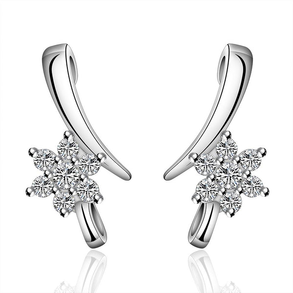 Silver Earrings LSE586