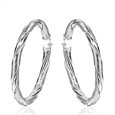 Silver Earrings LSE590