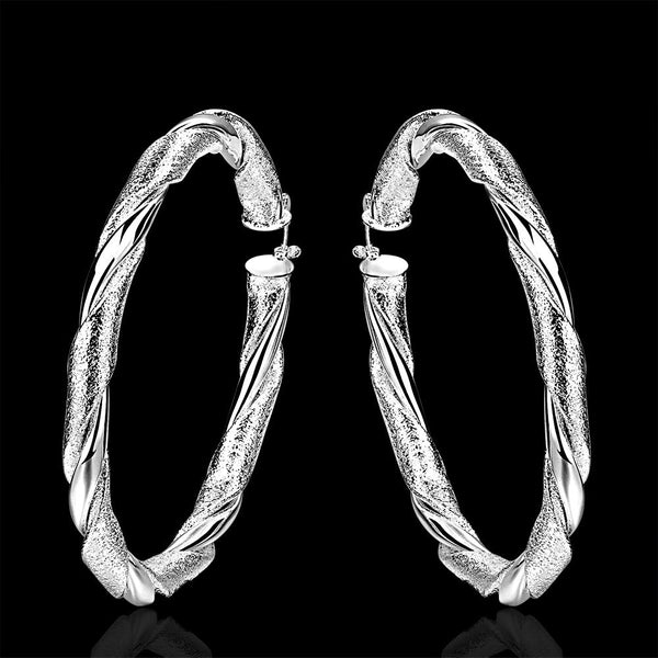 Silver Earrings LSE590