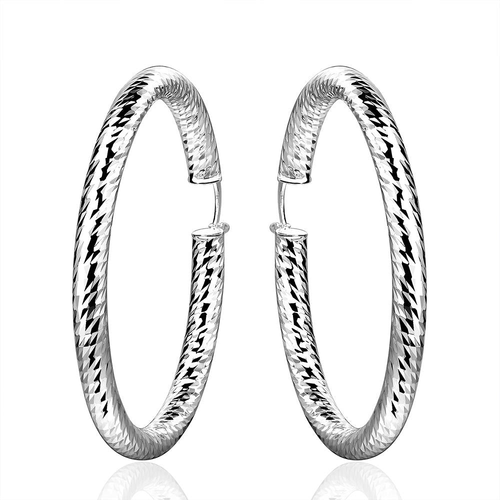 Silver Earrings LSE592