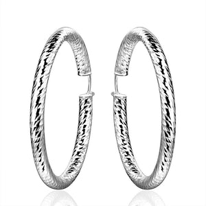 Silver Earrings LSE592