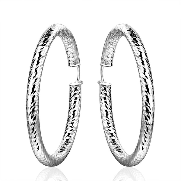 Silver Earrings LSE592