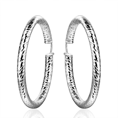 Silver Earrings LSE592