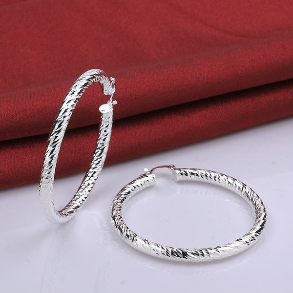 Silver Earrings LSE592