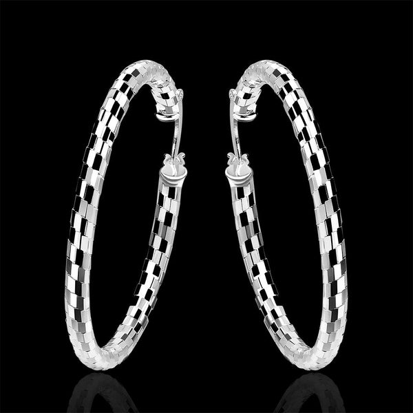 Lucky Silver - Silver Designer Round Hoop Paved Earrings - LOCAL STOCK - LSE594