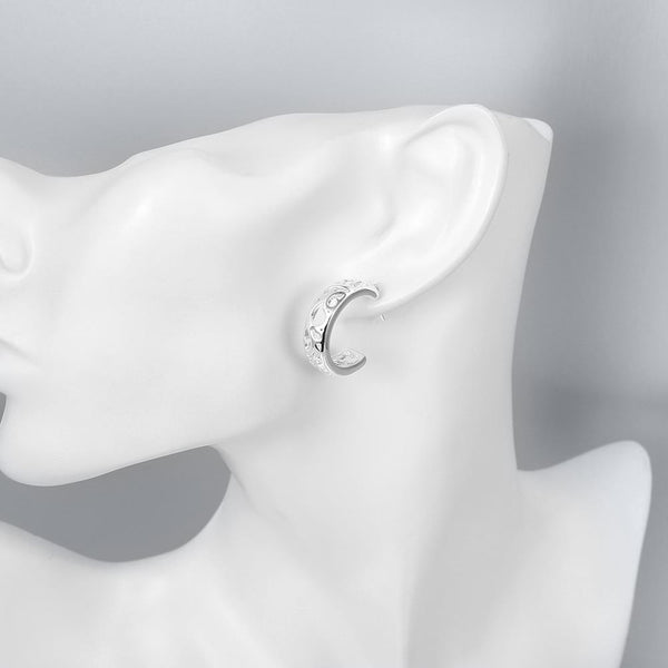 Silver Earrings LSE630
