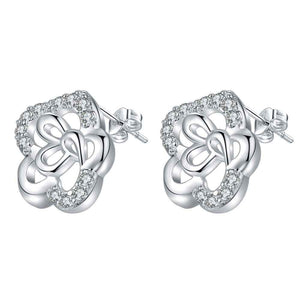 Silver Earrings LSE644