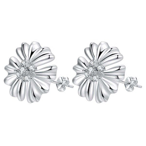 Silver Earrings LSE657