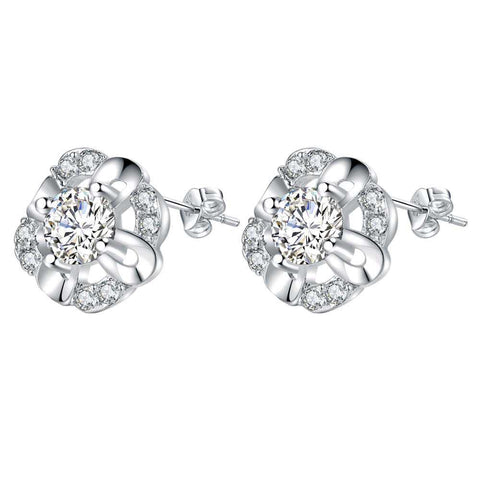 Silver Earrings LSE661