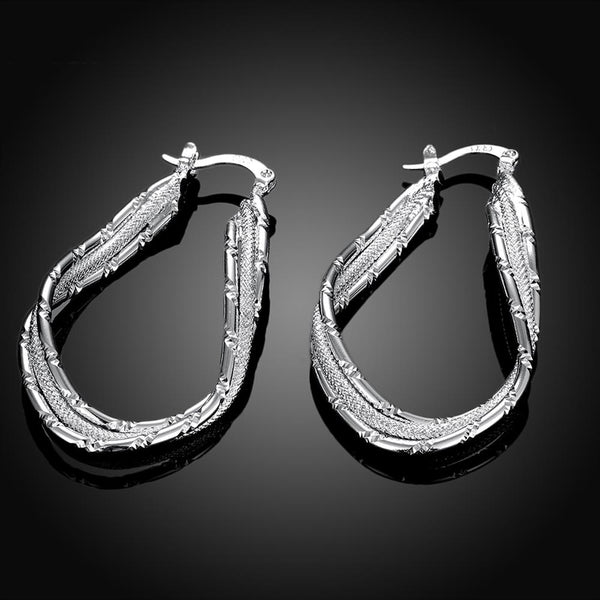 Silver Earrings LSE664