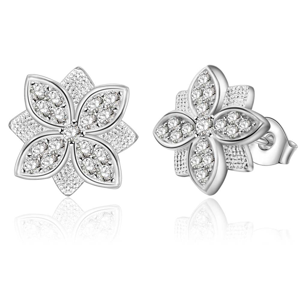 Silver Earrings LSE685