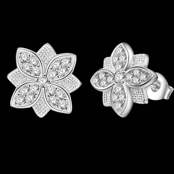 Silver Earrings LSE685